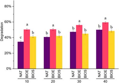Effect of Rhodococcus bioaugmentation and biostimulation on dibenzothiophene biodegradation and bacterial community interaction in petroleum-contaminated soils